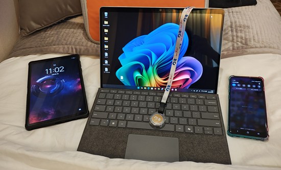法Surfaceと一緒にダイヤモンドプリンセスでクルーズ旅行 2025